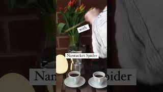 Morning Coffee With Nantucket Spider Repellent Incense Sticks