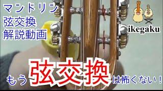 【初心者でもできる】マンドリン弦交換の仕方～ローマタイプ〜 change strings on the mandolin for Roma type