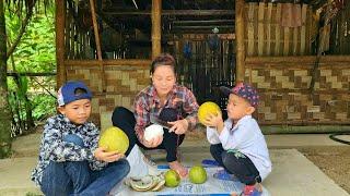 Single mother 10 days gardening on new land, growing vegetables DANG THI DU