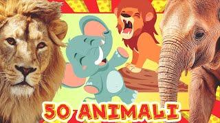 I Miei Primi 50 Animali (Nomi e Versi)  Flashcard con Animali Nella Vita Reale