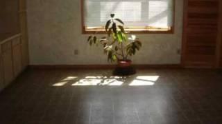 SHORT SALE!