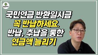 국민연금 반환일시금 꼭 반납하세요  반납, 추납을 통한 연금액 늘리기