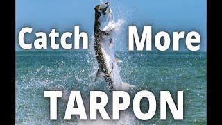 Catch MORE Tarpon! | Bull Bay Brute Force Tarpon Rod | Full Rod Breakdown