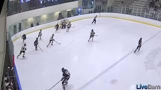 AYHL Championship, Breakout-Regroup-Rush scoring chance 14u 2007 AAA