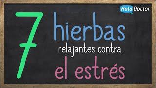 7 hierbas relajantes contra el estrés