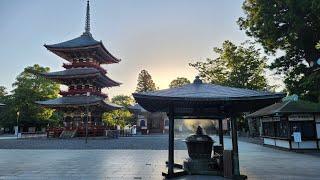 Narita Town and Temple at Dawn (4K) (Virtual Tour)