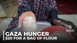 Gaza hunger crisis: Flour prices hit $20 per kilo as Israeli blockade leaves families scavenging