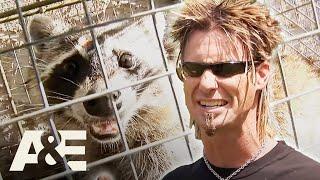 Billy the Exterminator: Billy Attacks Critters FULL EPISODE Marathon | A&E