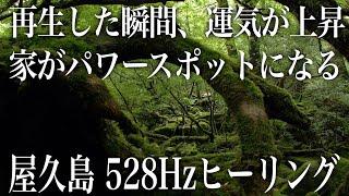 【神が住む 屋久島】再生するだけで家がパワースポットになり、邪気が払われ、驚くほど運氣が上がり、お金も心も人間関係でも満たされる人が一人でも増えるよう、祈りを込めて作りました(@0025)