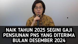 NAIK TAHUN 2025 SEGINI GAJI PENSIUNAN PNS YANG DITERIMA BULAN DESEMBER 2024