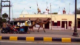 India Travel: Tour of Bikaner & Junagarh Fort, Rajasthan