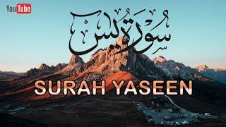 Surah Yasin(Yaseen) | Beautiful recitation in Arabic only | @Surahyasindaily| 036سورہ یٰس