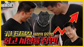 [#피크타임] "카네코르소 달이" 최고 분당시청률기록한 명장면!!! | #개는 훌륭하다 | Dogs Are Incredible | KBS 210621 방송