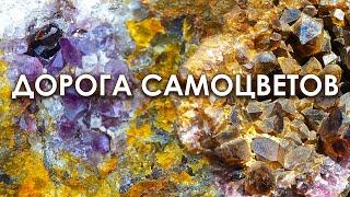 Дорога самоцветов. Аметисты под ногами