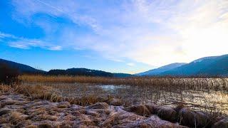 Turkey's Hidden Gem | Abant Lake | Vlog