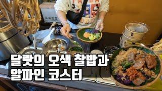 달랏의 오색 찰밥과 알파인 코스터