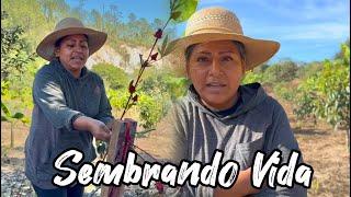 Recatando El Campo Mexicano - Sembrando Vida