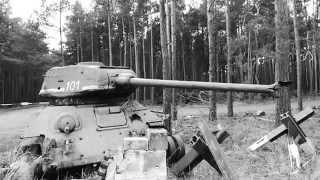 In the woods arround Berlin a WWII T34 tank wreck