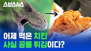 공룡이 멸종하지 않은 이유 과학적으로 설명해드림 / 스브스뉴스