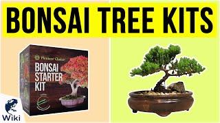 10 Best Bonsai Tree Kits 2020