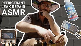 Refrigerant Leak Repair ASMR w/ Bert