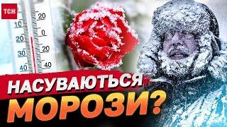 ЗАМОРОЗКИ в Україні - коли чекати на похолодання та дощі | Прогноз погоди