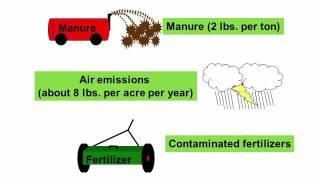 eOrganic Dairy Course: On the Ground. Module 2 Building Better Soils: Secondary and Micronutrients.