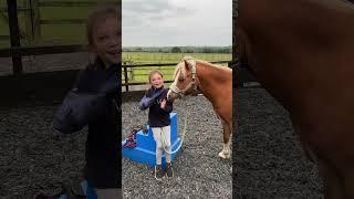 I don’t understand this trend but Milla does  #ponylife #equestrian #horse #trending #trend