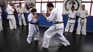 IFK Kyokushin Brazil - New Generation