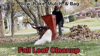 Fall Leaf Clean Up | Blow Rake Mulch Bag Leaves from yard roof gutters bushes and trees