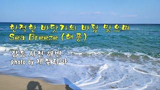 강릉 사천 해변 & 한적한 바닷가의 바람 맞으며 (Sea Breeze) 해풍 & photo by 체칠리아