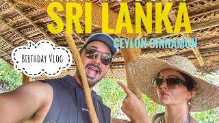 Rubina's Birthday in Sri Lanka | What to do in Sri Lanka | Cinnamon Plantations | #rubinadilaik