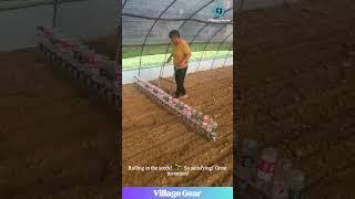 This DIY Bottle Seeder is Peak Farming Innovation!  So SMART & EFFICIENT! #farminglife