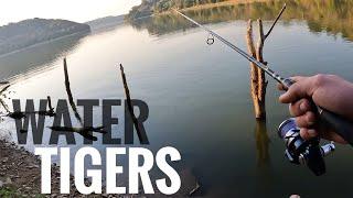 Fishing For Tiger Fish in Hippo infested Lake (Surprise catch!)