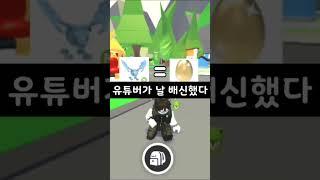 입양 신규에그 나올때 유저들 특징(호주,공룡,일본,황금,데인저)