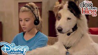 10 Throwbacks from Dog With A Blog | Disney Channel UK