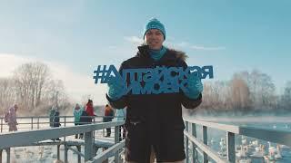 Зимовка лебедей, Алтайский край / Wintering of swans, Altai Territory