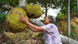 阿婆用菠蘿蜜，給放假的孫女做一道美味餐，看著特殊，其實很美味 | Grandma's Chinese delicacy made with jackfruit |  广西 美食 | 玉林阿婆