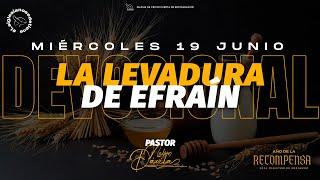 LA LEVADURA DE EFRAÍN | PASTOR NELSON DÁVILA | SERVICIO DEVOCIONAL | 19 JUNIO 2024