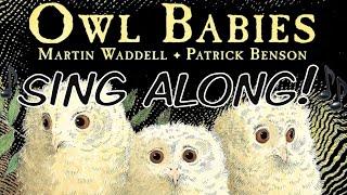 OWL BABIES Story Song, lyrics on screen, early years, KS1, pre-school, night, nocturnal animals