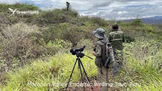 Marañón Valley Endemic Birding Tour, Peru | Green Tours