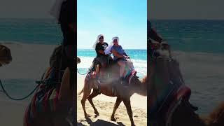 Riding Camels in Mexico! #shorts #mexico #camels