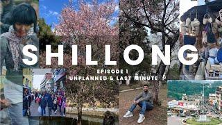 Shillong city, police bazar, ward's lake | Street stroll | Unplanned and Last Minute | Episode 1