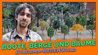 LIANAS LOOSE: New spectacles in the Amazon | Atacama Rainforest Update #10 | Miniatur Wunderland