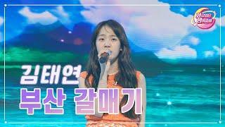 【클린버전】 김태연 - 부산 갈매기 화요일은 밤이 좋아 73화  TV CHOSUN 230627 방송