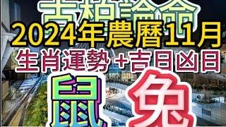 【古柏論命每月運勢+吉日凶日】2024年農曆11月(陽曆12/1 ~ 12/30)生肖運勢分享 -   鼠＋兔