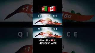 Qiam Rice  + 1(647)871-6160