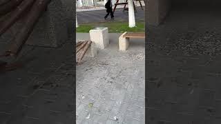 В Аткарске вандалы сломали скамейку на проспекте и оставили рядом мусор