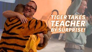 Tiger Takes Teacher by Surprise!