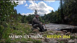 SALMON FISHING | FLY FISHING | AUTUMN 2024 | SCOTLAND